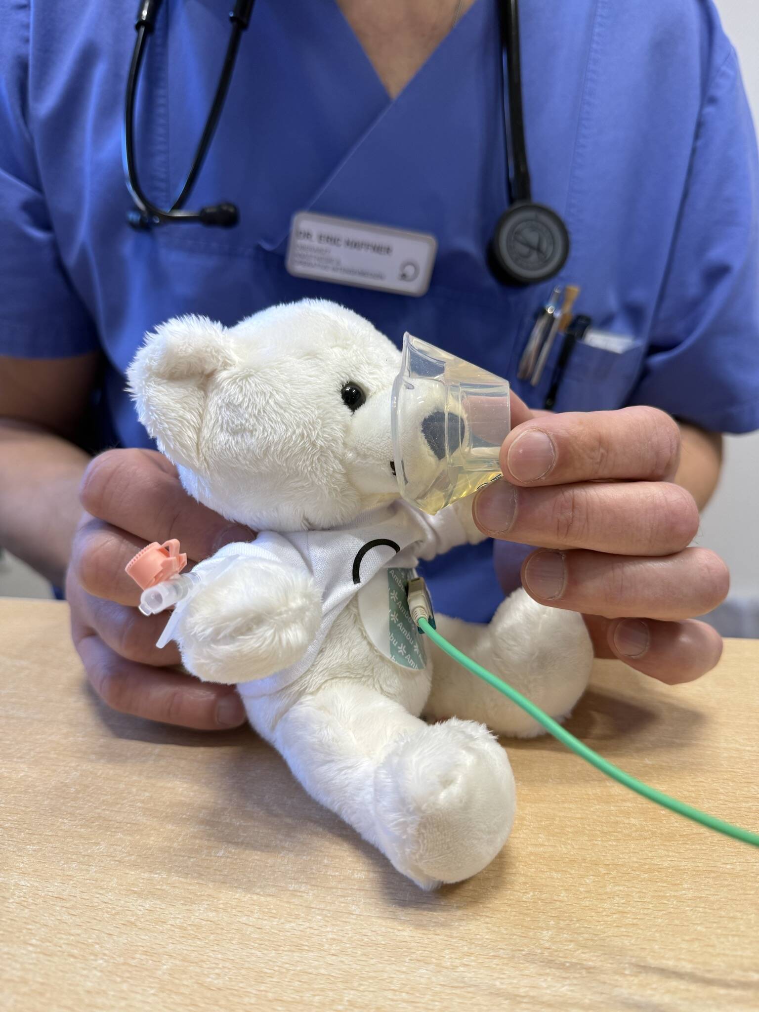 Narkose beim Teddy